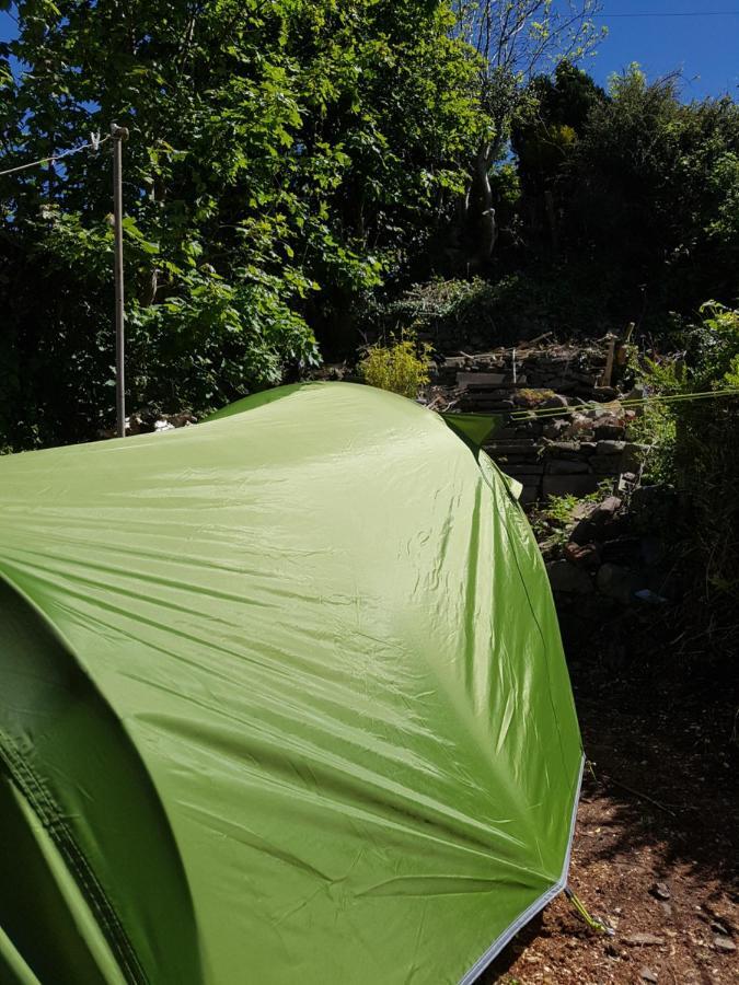 'Yellow Wood Micro Hostel-Eco Urban Bothy Style Very Basic But Cosy Redecorating But Cheap & Friendly Quiet Time Lockout 11Pm-7Am Bring Towel Or Hire Brecon Exterior foto
